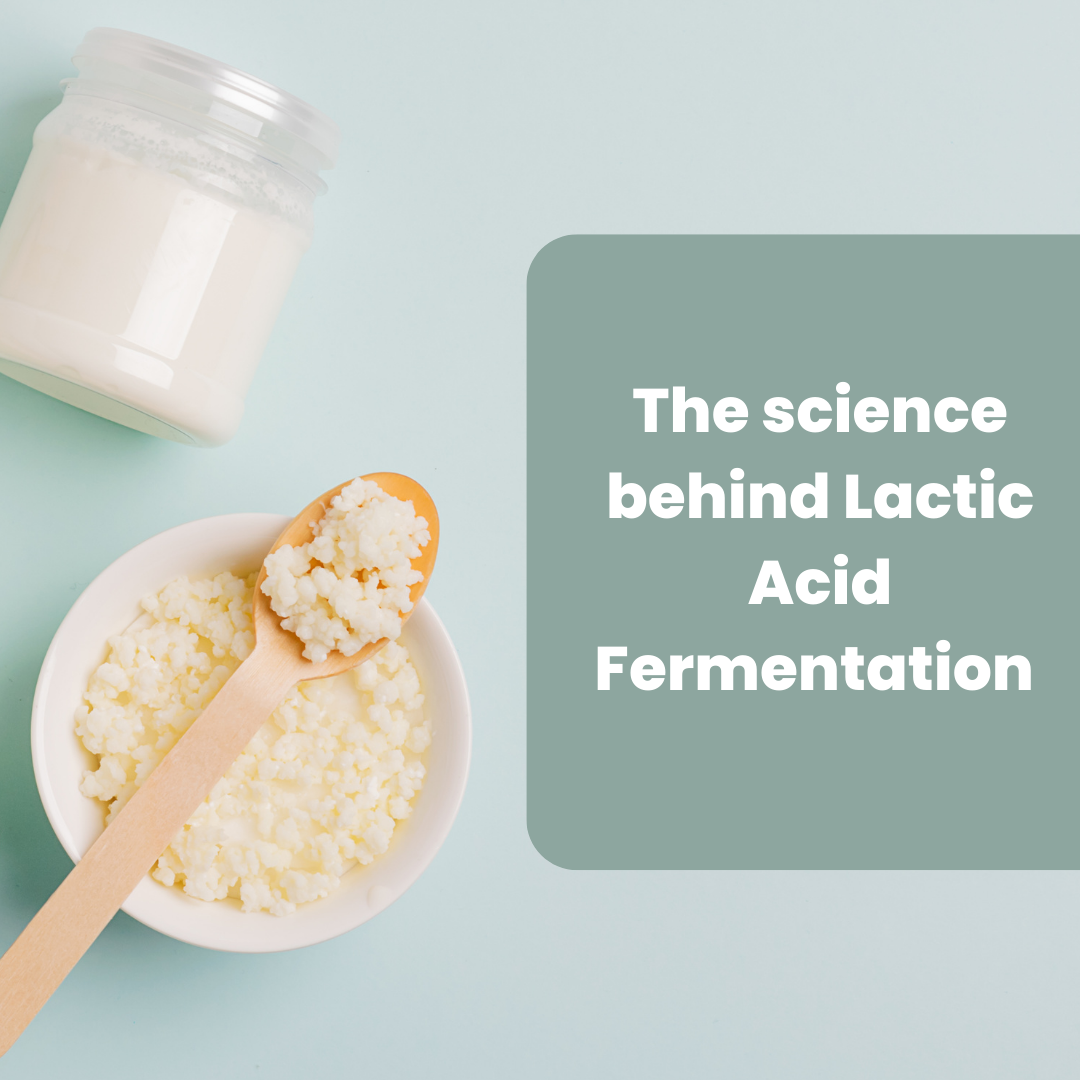 lactic acid fermentation food