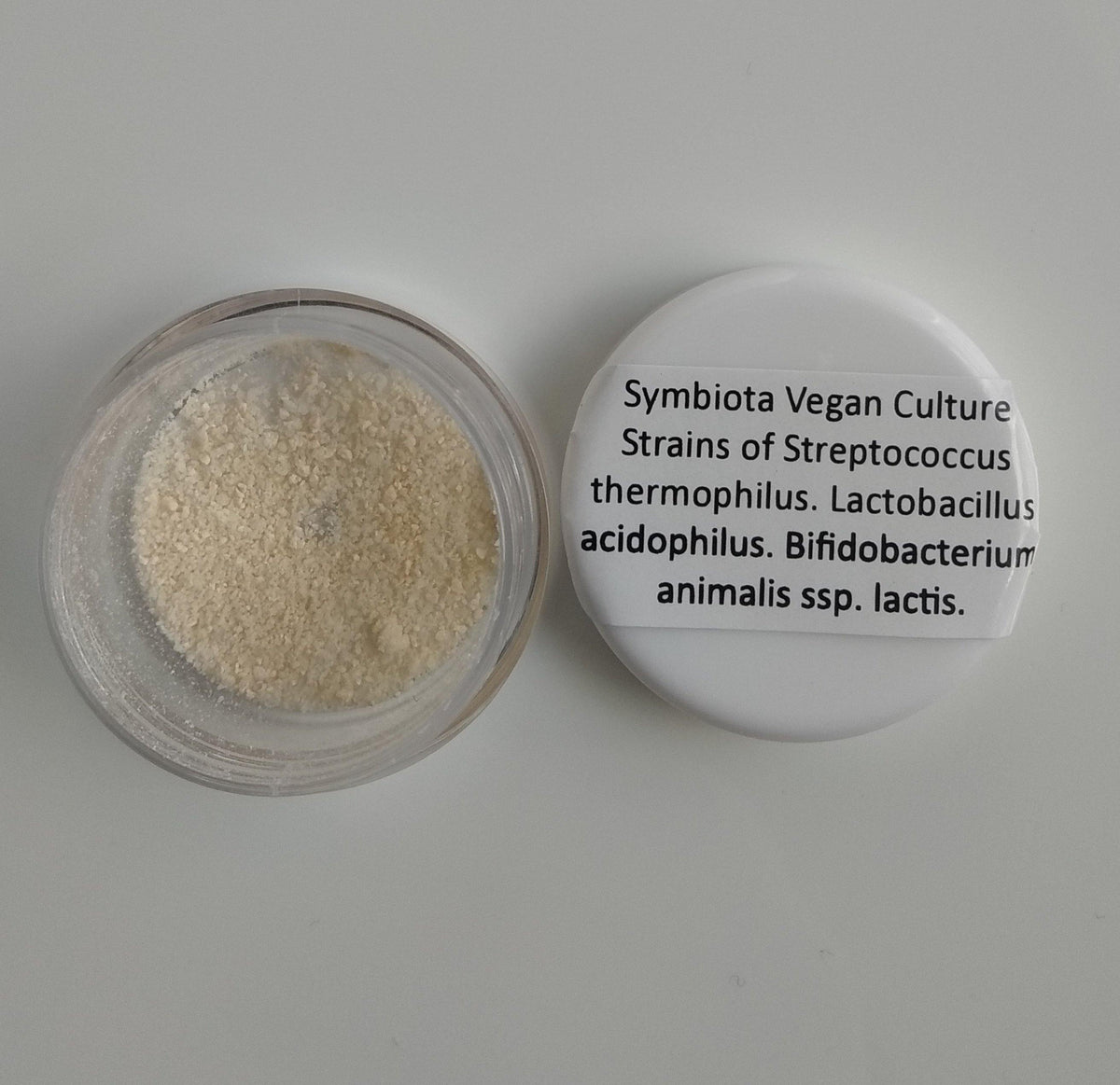 Vegan Yogurt Culture Symbiota
