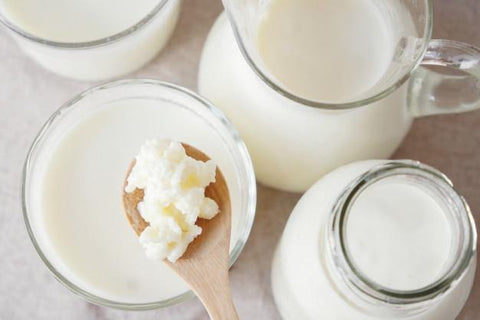 Milk Kefir Grains