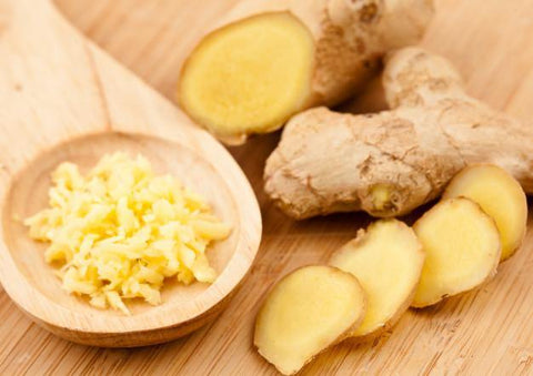 Ginger Bug Recipe - Symbiota