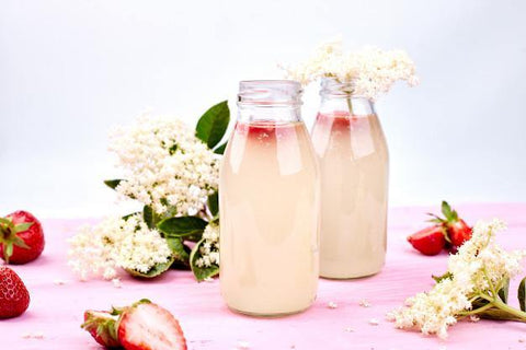Water Kefir Grains