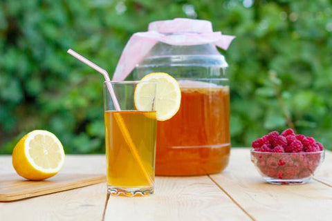 Kombucha, kombucha tea, kombucha scoby