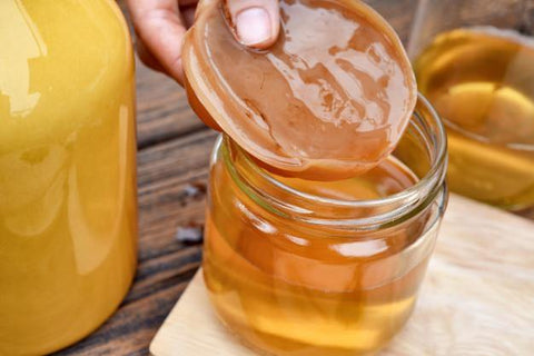 5 Essential Ways to Care for Your Kombucha SCOBY - Symbiota