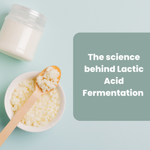 Lactic fermentation and How it works
