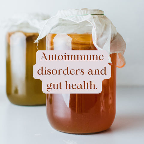 Autoimmune Diseases: How Fermented Foods Support a Healthy Gut