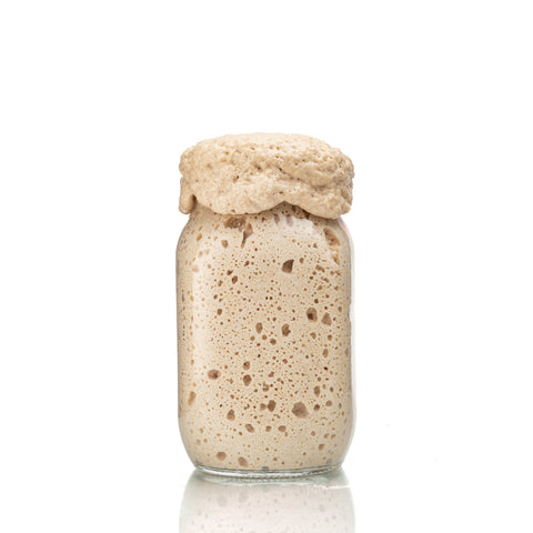 How do you feed a sourdough starter