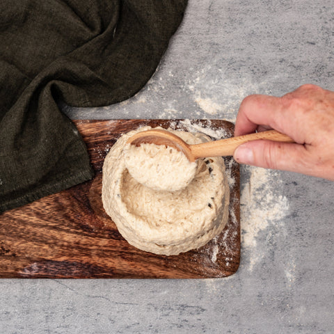 How to Feed and Maintain a Sourdough Starter