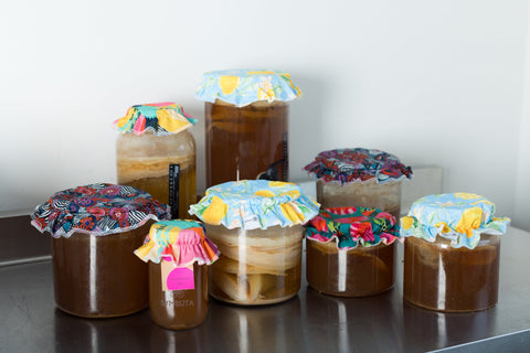 A Guide to Homemade Kombucha: Brew Your Own Probiotic Elixir