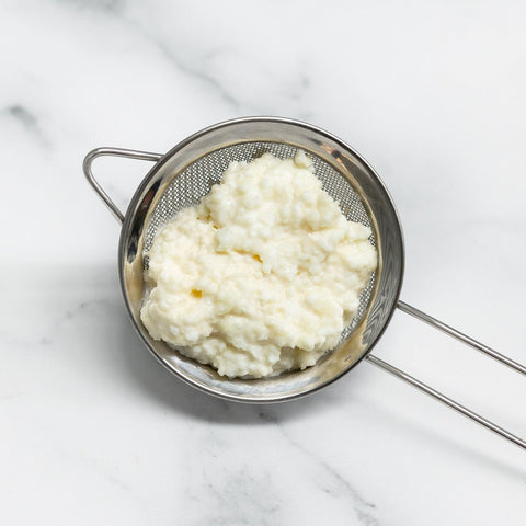 Where Do You Get Kefir Grains From?