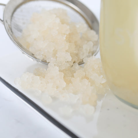 Are My Water Kefir Grains Dead?