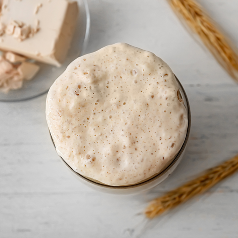 sourdough starter