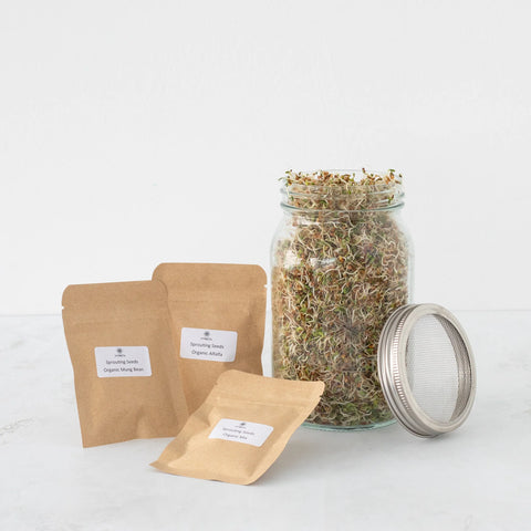 Unlocking Nutritional Power: Sprouting Seeds with the Symbiota Sprouting Kit