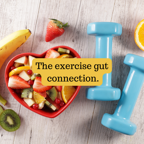 The connection between gut health and exercise