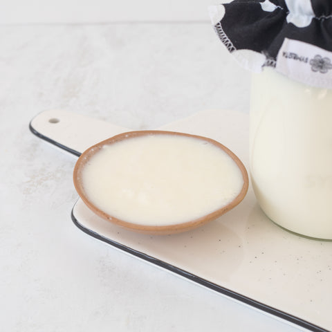 How to make Skyr Yogurt