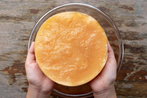 What is a Kombucha SCOBY and the benefits