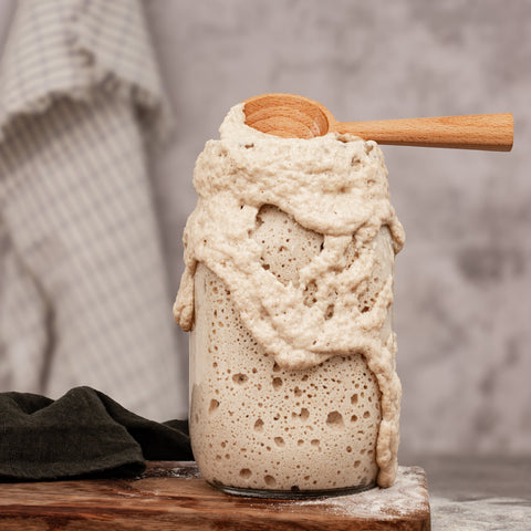 Sourdough Starter