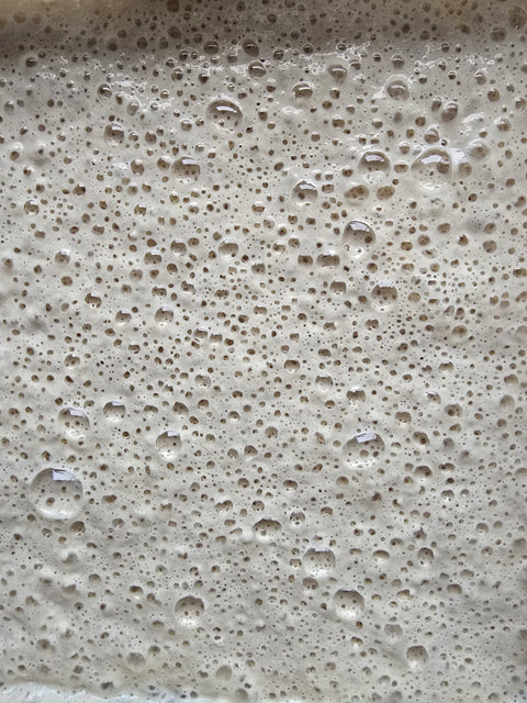 Sourdough Starter NZ: A Beginner’s Guide