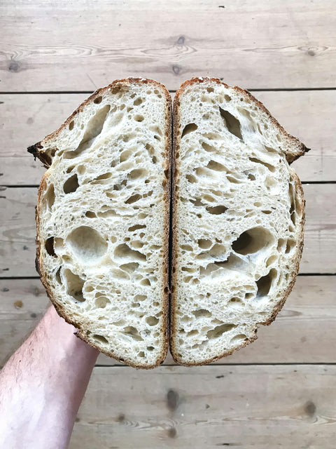 Buy Sourdough Starter NZ: A Beginner’s Guide to Getting Started