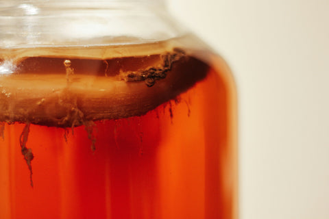 How to Make Kombucha