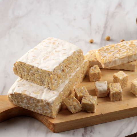 Tempeh Starter Culture