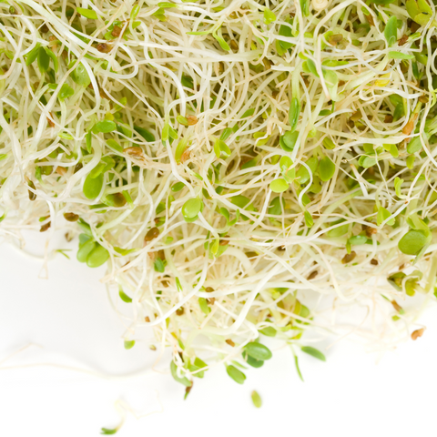 Sprouts