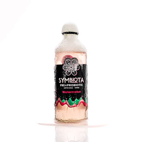 Fermented Foods & Drinks