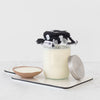yoghurt made by symbiota