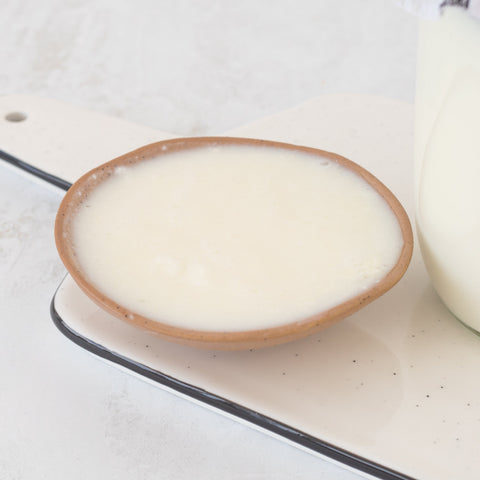 Skyr Yogurt Starter Culture