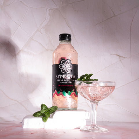 Watermelon Kefir Soda - 6 pack