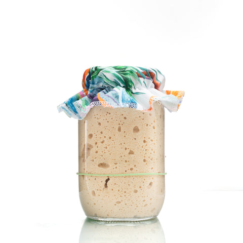Sourdough Starter Kit- Organic & Super Active Starter!