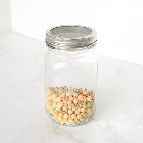 Seed Sprouting Kit – Grow Your Own Healthy Sprouts
