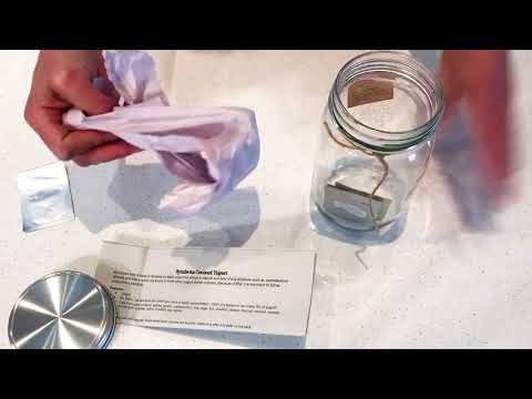 Unboxing of vegan yogurt kit