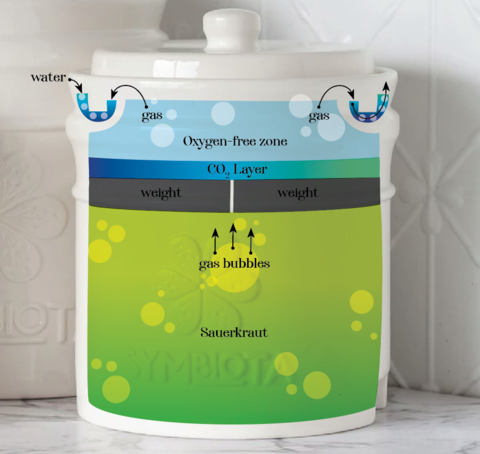 Best Fermentation Pot pic explain Fermentation Process
